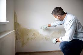 Forensic Mold Investigation